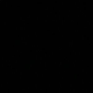 Meet your Posher, Angelina